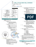 Cytogen MT 1