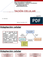 I Adaptacion Celular BARINAS