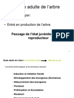 Présentation Arboriculture