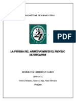 USUCAPION - El Animus Domini en El Proceso de Usucapión - Tesis deRODRIGUEZ Christian Mariano