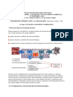 Procesos de Formacion de Suelos 2021