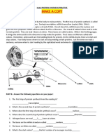 Protein-Synthesis-Worksheet