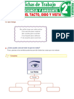 Los Sentidos Del Tacto Oido y Vista para Segundo Grado de Primaria