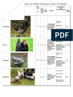 Chicken Breed Chart To Help Choose Your Chicken