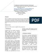 Extracción Casera de Ácidos Nucleicos Vegetales