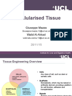 Decellularised Tissue: Giuseppe Mazza Walid Al-Akkad