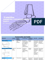 Evaluación Funcional Del Tobillo