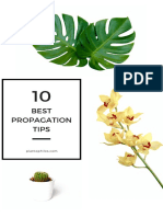 10 Best Propagation Tips