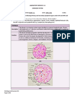 Histo Lab Exercise #12