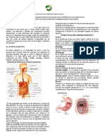 Actividades Ciencias