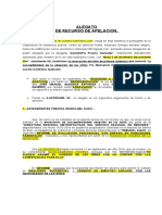 Alegato Apelacion C.a.san. Miguel. - Dic. 2019.