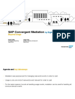 SAP Convergent Mediation: Beyond Usage