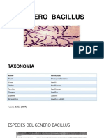 GENERO Bacillus