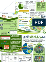 Infografías (Fase I, II, III)