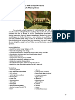 A. Chapter 4-Lesson 4.1-Energy For Life-Photosynthesis