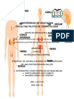 Anatomia Macroscopica Del Sistema Endocrino