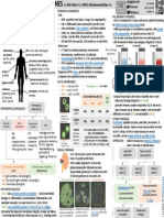 Labs:: Pulmonary Renal Syndromes (PRS) Diffuse Alveolar Hemorrhage