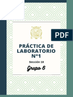 Grupo 6 - Práctica de Laboratorio n1