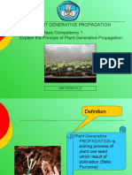 Plant Generative Propagation Basic Competency 1: Explain The Principe of Plant Generative Propagation