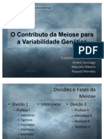 A Meiose e A Sua Importância