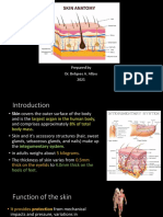 Anatomy of Skin