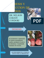 Dieresis y Diseccion de Tejidos Nelson