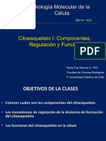 Clase Citoesqueleto I BIO141C 2021