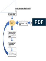 Legal Chopping Process Flow