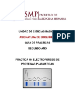 Practica 10. Proteina Plasmaticas