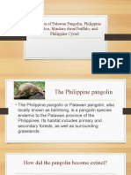 Extinction of Palawan Pangolin, Philippine Cockatoo