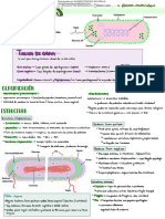 Resumen Bacterias 1 Downloable