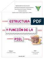 Sistema Tegumentario