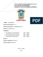 Informe N°02 - Carbohidratos - I