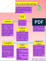 Biologia Teoria de La Seleccion Natural KS