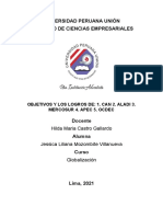 Objetivos Del Can, Aladi, Mercosur, Apec y Ocdec