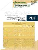 Anális Financiero Arteporte