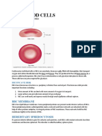 Red Blood Cells