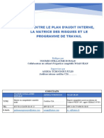 Plan D'audit Matrice Des Risques Programme Travail