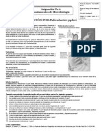 Asignacion No.6 H. Pylori Microbiologia 2017