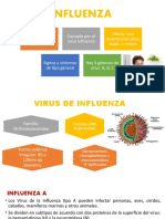 Expo Influenza