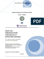 Audit Des IC Et Inv Phy