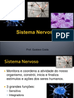 Sistema Nervoso