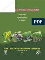 Sugarcane Technologies