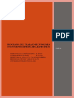 1programa Del Trabajo Seguro para Un Entorno Empresarial Específico