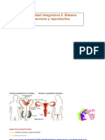 Actividad Integradora 5. Sistema Nervioso y Reproductivo