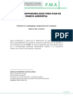 Carta de Responsabilidad para Plan de Manejo Ambiental