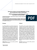 Eficiencia de Sustratos en El Sistema Hidropónico