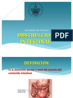 Obstrucción Intestinal