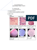 Atlas de Histologia