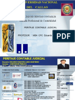 Peritaje Contable Judicial